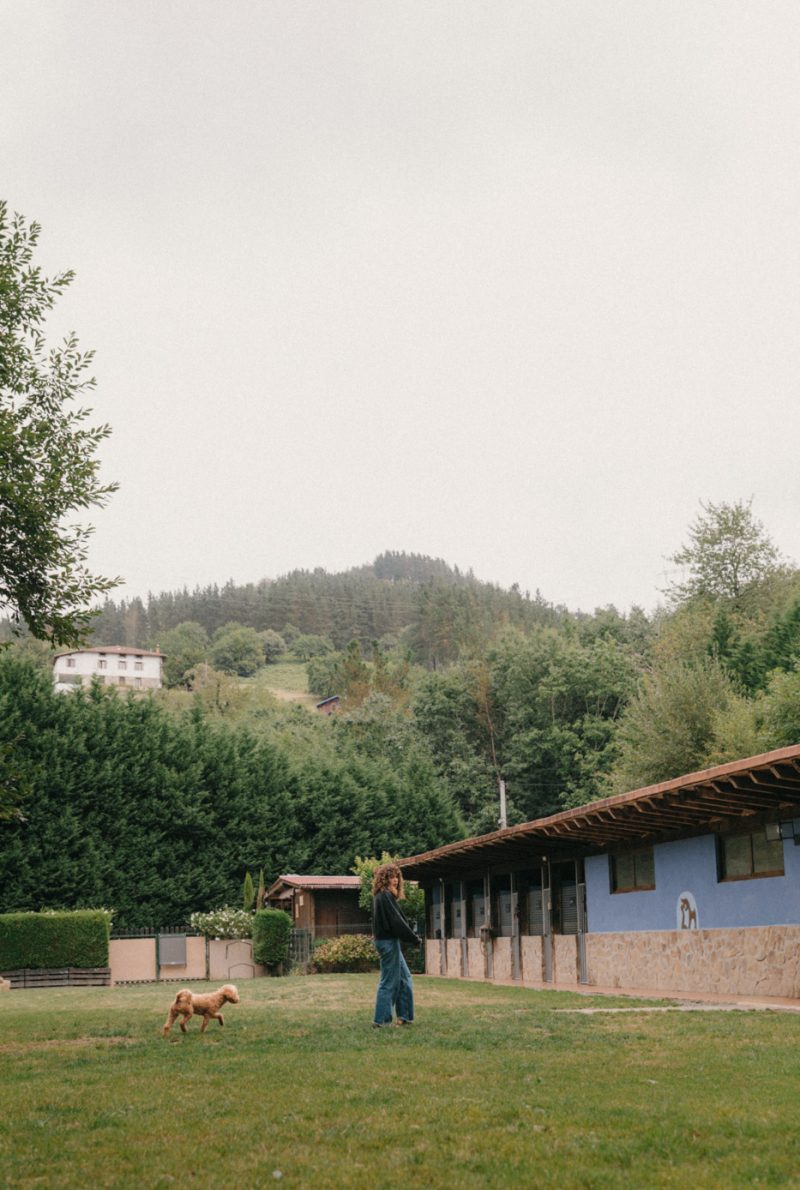 Zutabiok - Hotel Canino en Gipuzkoa